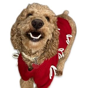 Meet your Posher, Monica